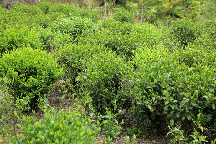 /Witty_Finance/get_goods_mes.do?goods_num=53