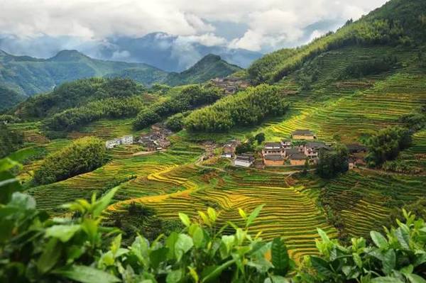 /Witty_Finance/get_goods_mes.do?goods_num=56