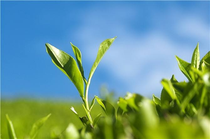 /Witty_Finance/get_goods_mes.do?goods_num=59